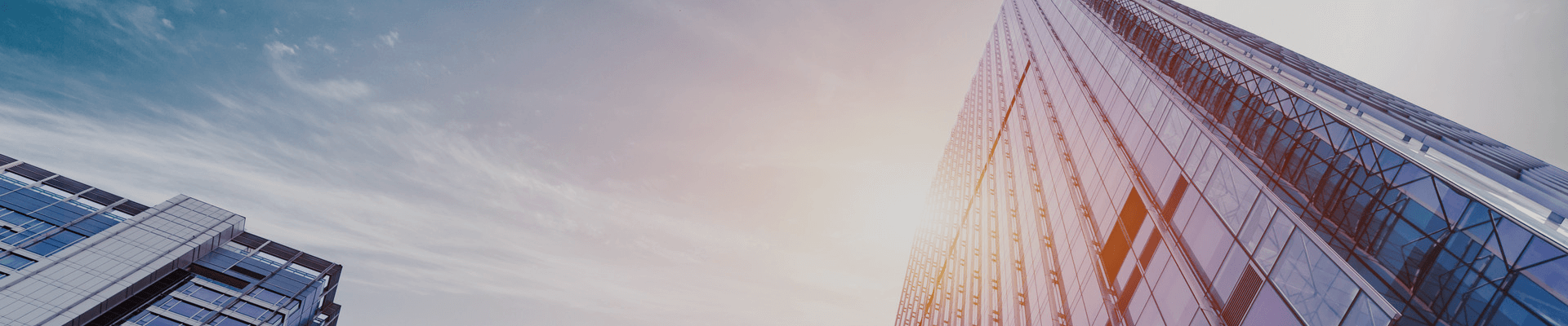 狗万·(中国区)有限公司官网